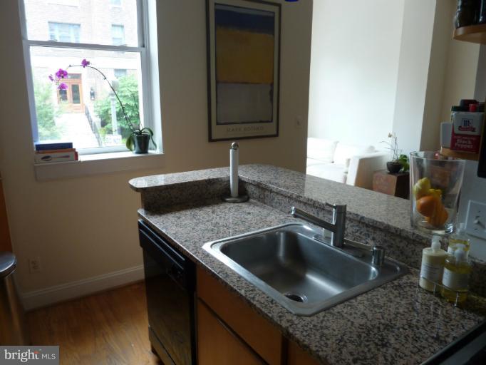 1821 Belmont Road Northwest, Unit 3 Washington, DC 20009 - Photo 3 of 10 Kitchen