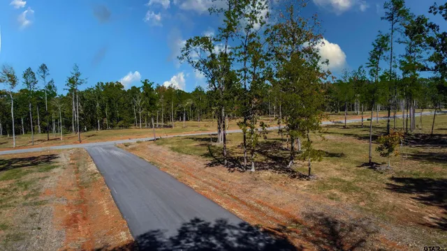 a view of a park with large trees