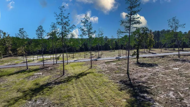 a view of a park with swings