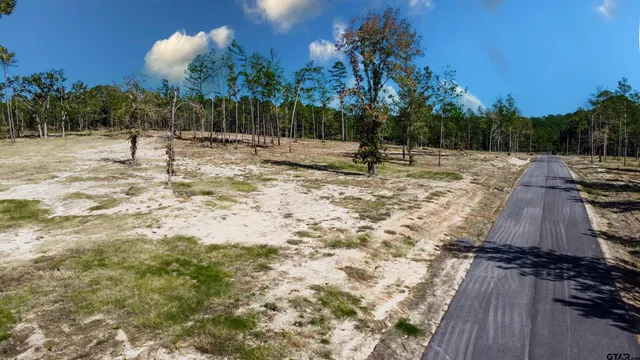 a view of outdoor space with trees