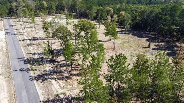 a view of a yard with tree s