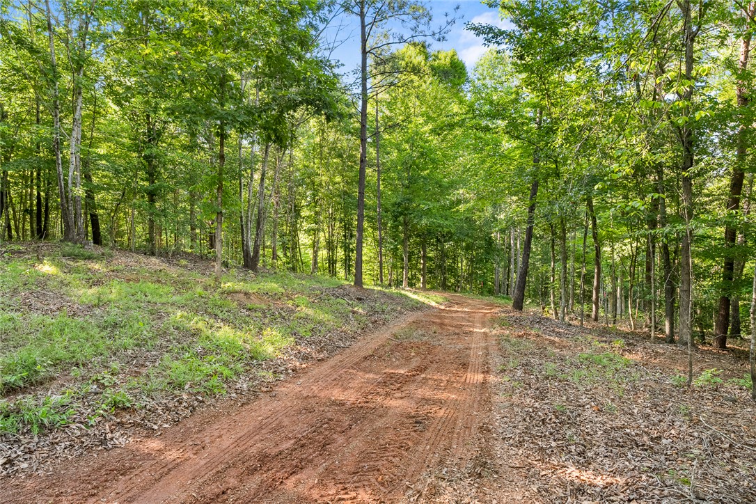 75 Hidden Acres Trail Pelzer, SC 29669 - Photo 9 of 32