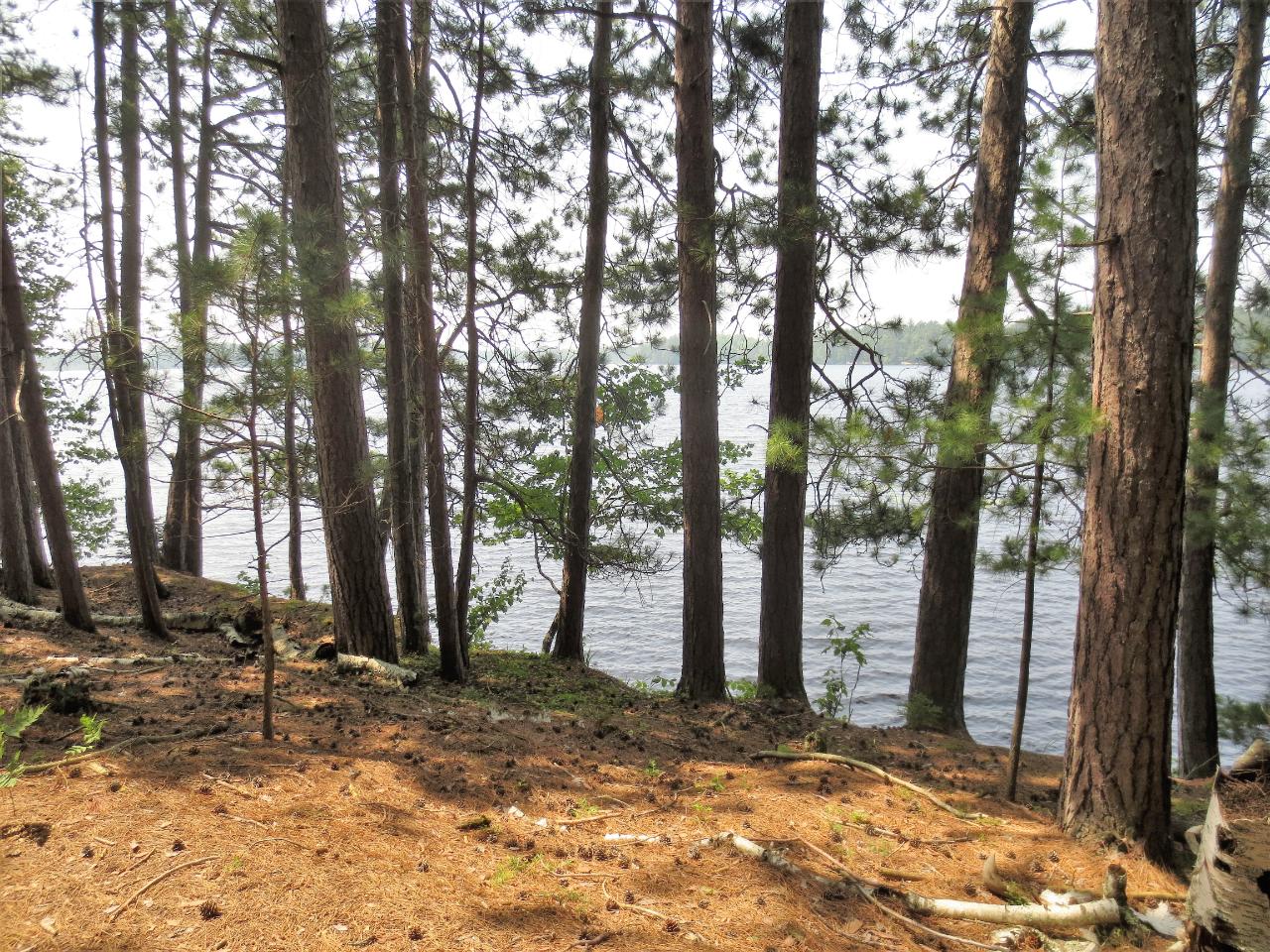 On North Drive, Unit LOT 2 Rhinelander, WI 54501 - Photo 1 of 6 Gallery Image 1
