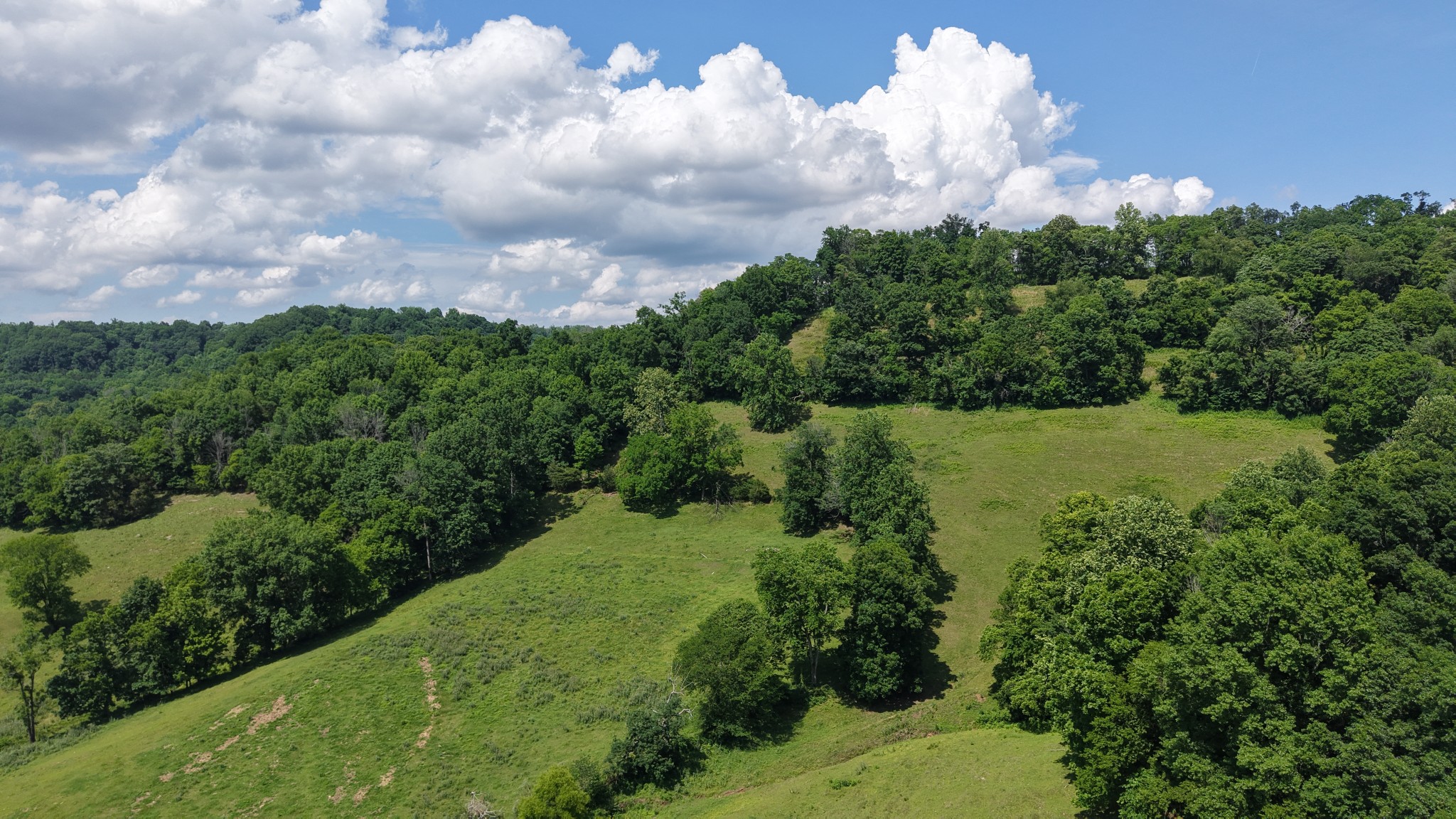 1358 Dry Branch Road Dixon Springs, TN 37057 - Photo 43 of 98
