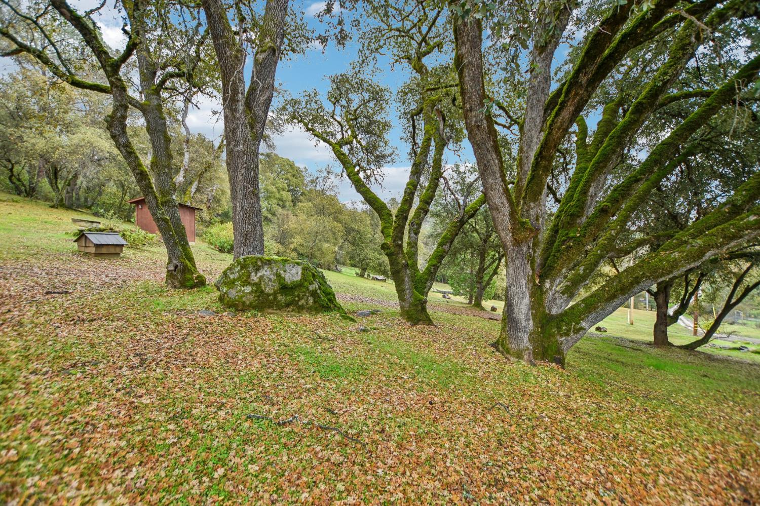 7650 Buzzards Gulch Road Somerset, CA 95684 - Photo 34 of 39