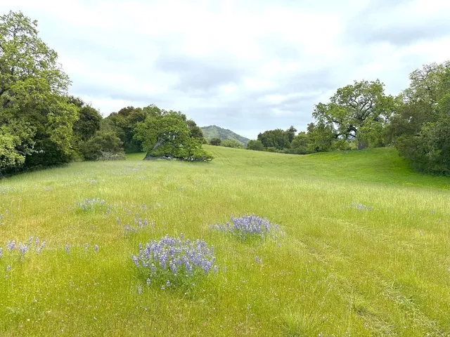 $1,299,000 | 29 Arroyo Sequoia, Carmel, CA 93923