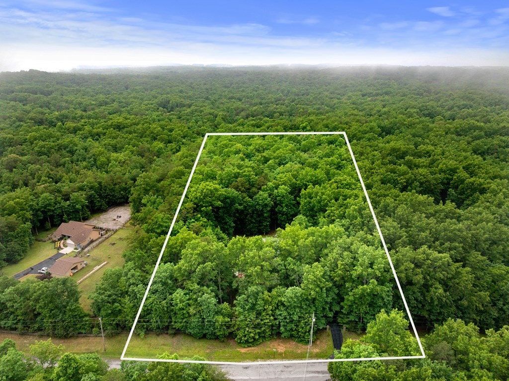1320 Laurel Way Monterey, TN 38574 - Photo 27 of 67