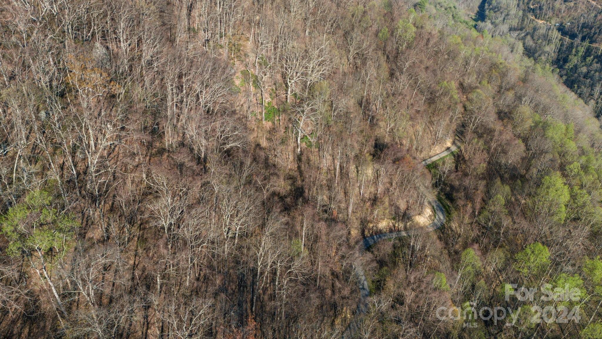 Lot 25 Deer Rock Road Hot Springs, NC 28743 - Photo 11 of 16 a view of a yard