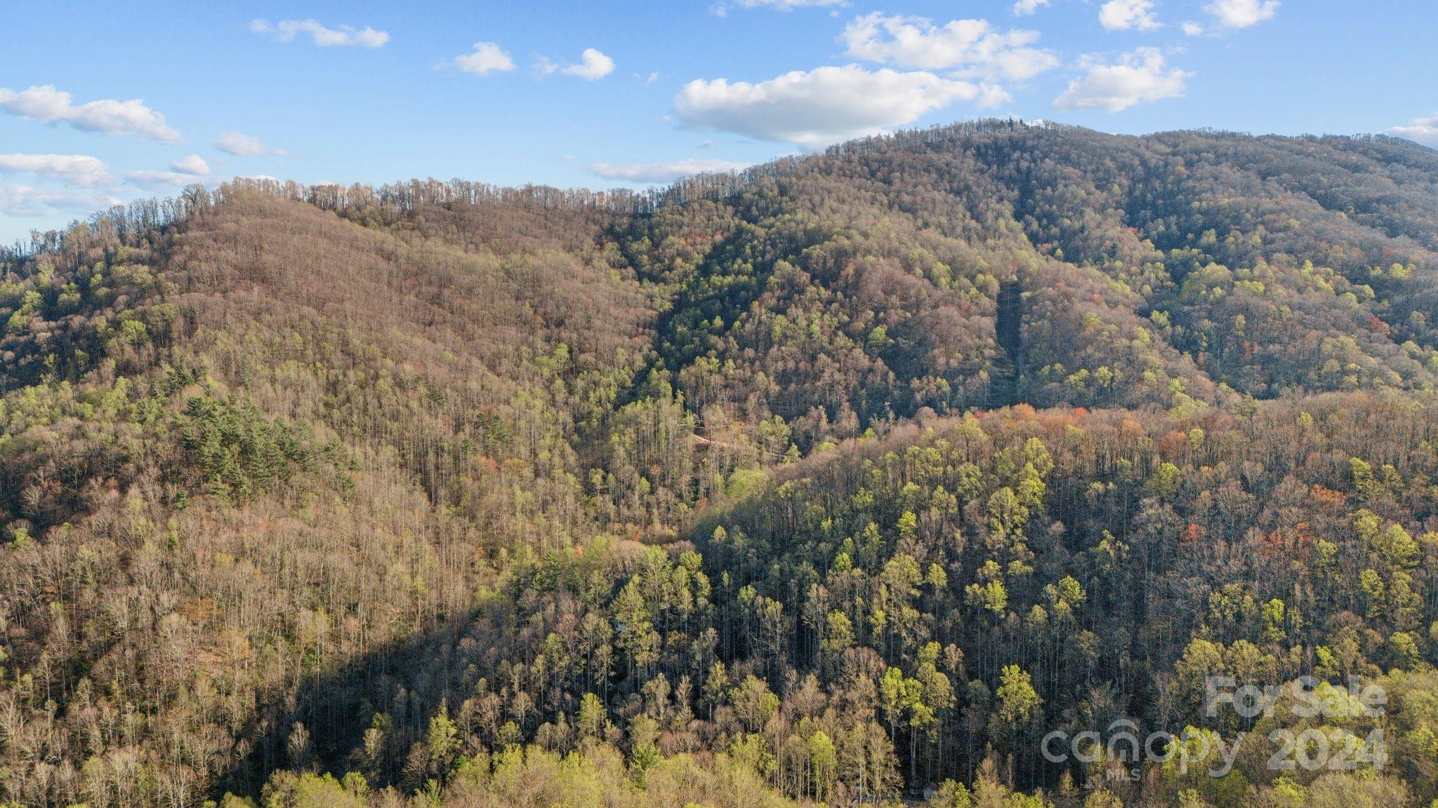 Lot 25 Deer Rock Road Hot Springs, NC 28743 - Photo 12 of 16 a view of mountains