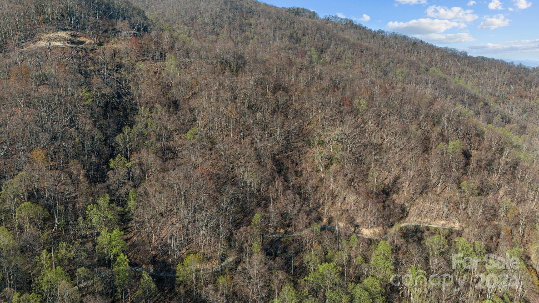 Lot 25 Deer Rock Road Hot Springs, NC 28743 - Photo 14 of 16 a view of a dry yard with green space