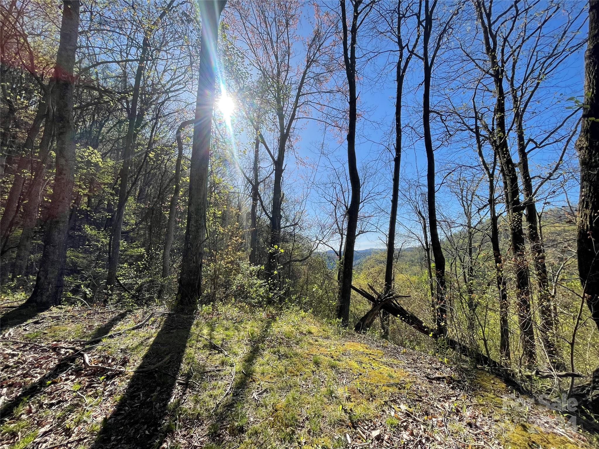 Lot 25 Deer Rock Road Hot Springs, NC 28743 - Photo 2 of 16 a view of an outdoor space
