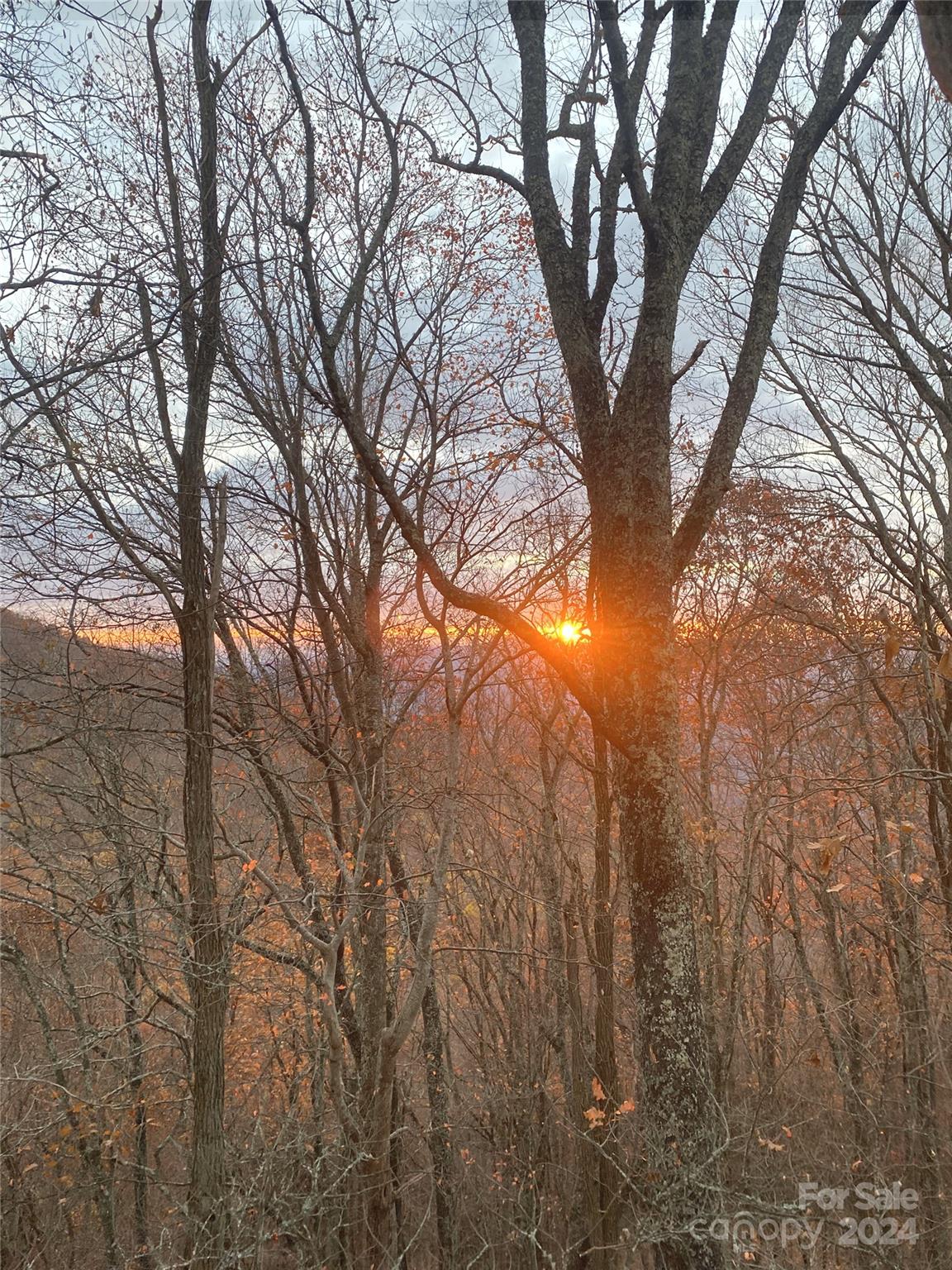 Lot 25 Deer Rock Road Hot Springs, NC 28743 - Photo 4 of 16