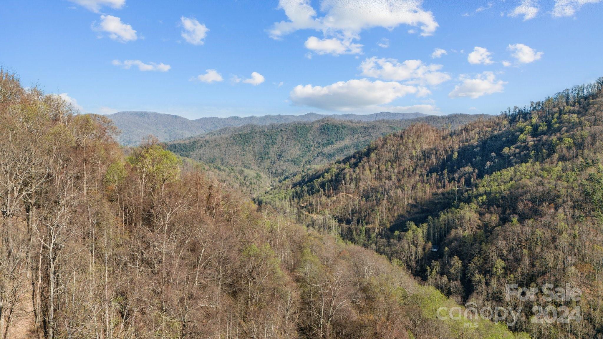 Lot 25 Deer Rock Road Hot Springs, NC 28743 - Photo 7 of 16 a view of mountain view with lots of trees