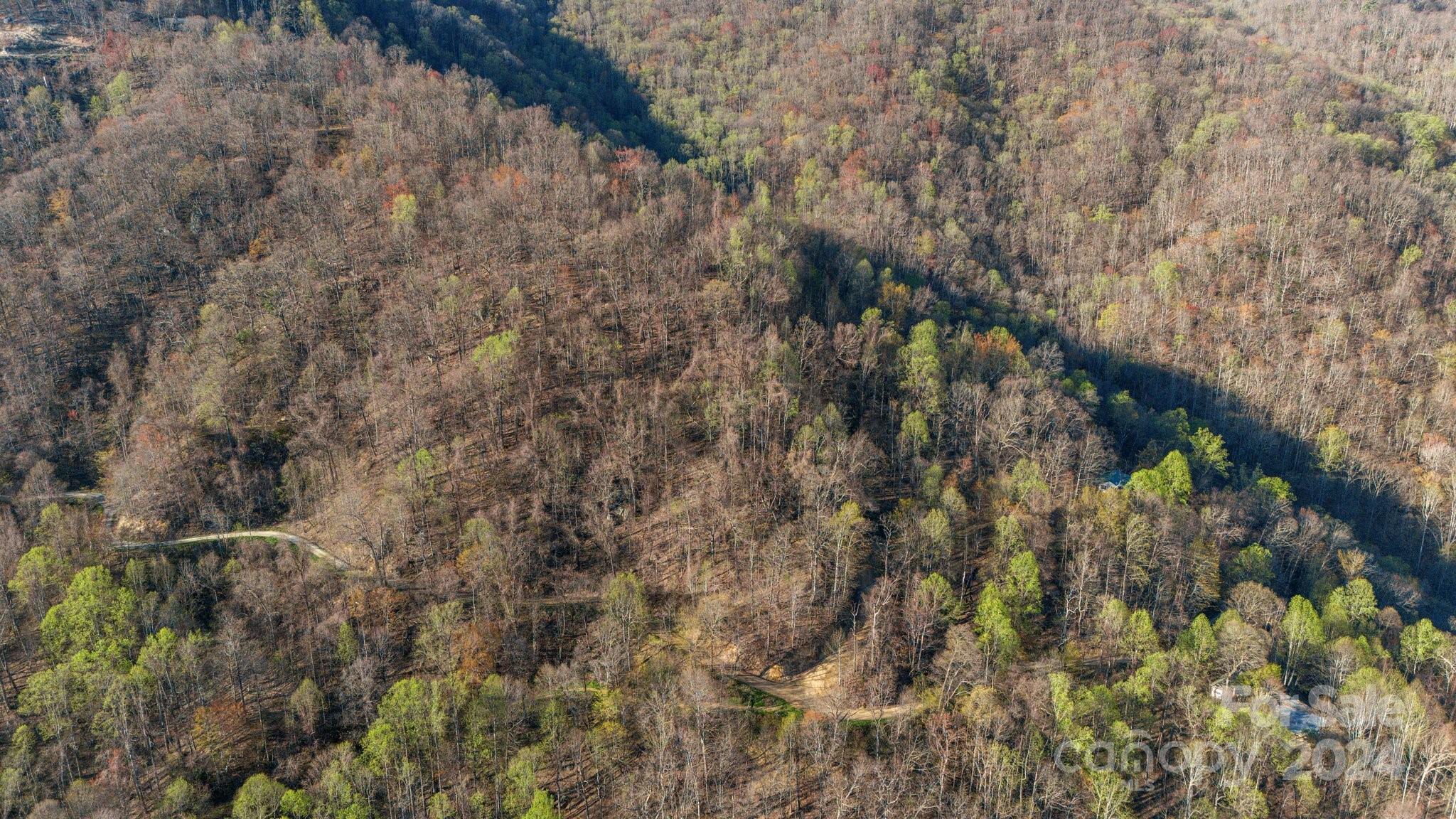 Lot 25 Deer Rock Road Hot Springs, NC 28743 - Photo 9 of 16 a view of a yard