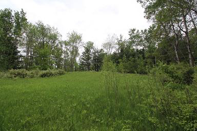 Baker Road Midland, MI 48642 - Photo 4 of 18