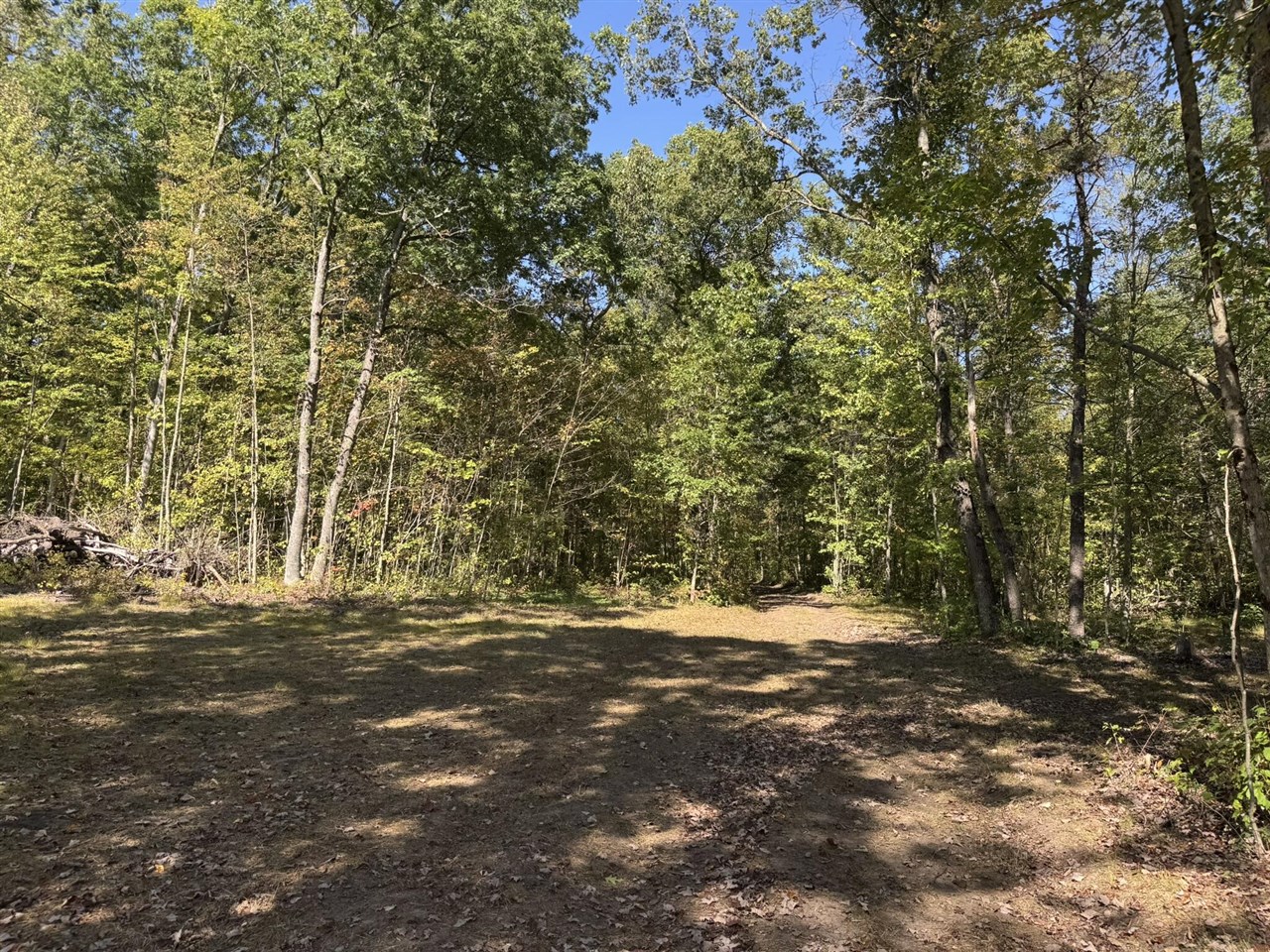 East County Line Road Manistee, MI 49660 - Photo 19 of 32