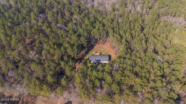 a view of a big yard with plants and a bench