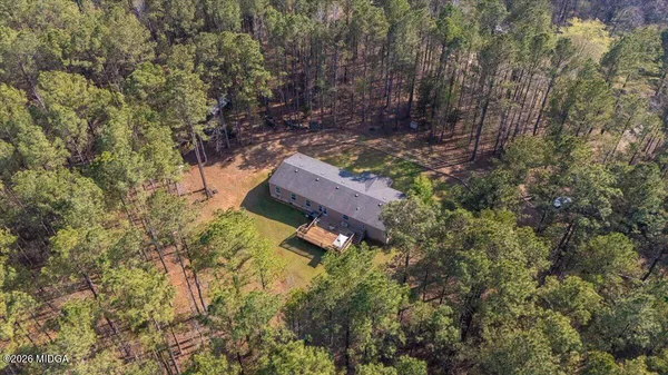 a view of a lush green forest