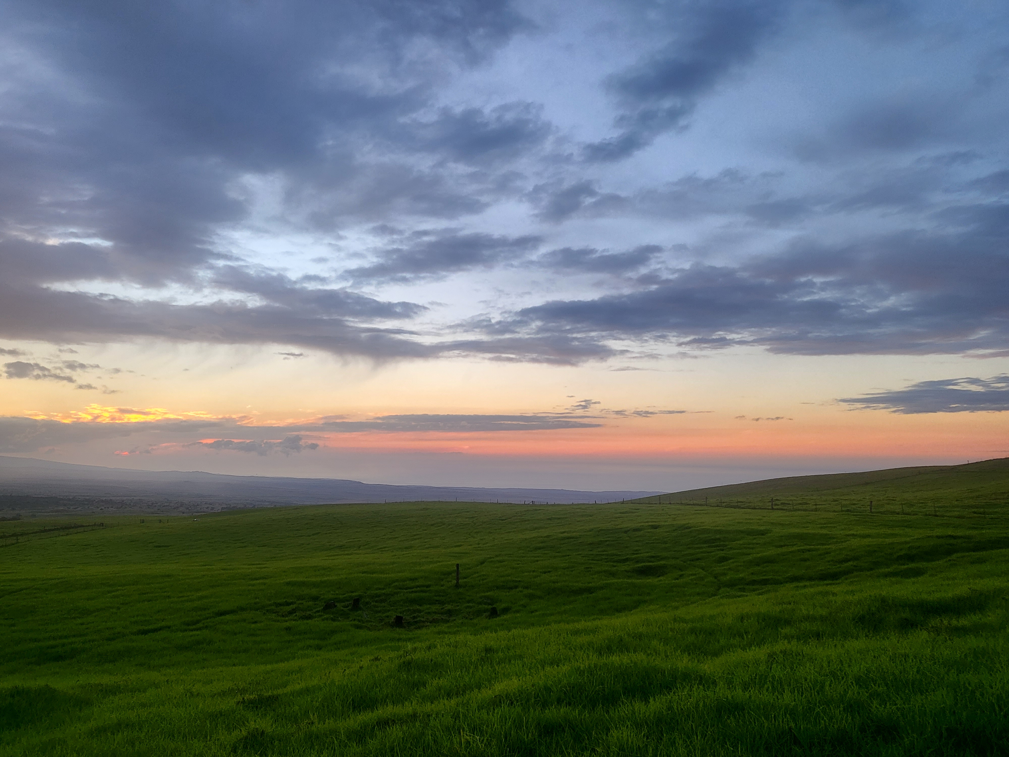a view of a big yard of a large tree with lots of green space