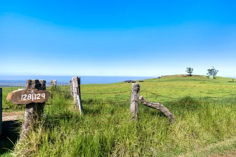 a view of an outdoor space and a yard