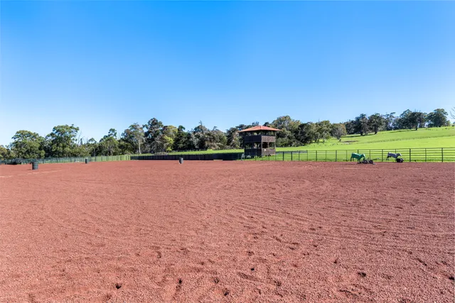 a view of an ocean from a yard