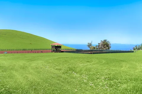 a green field with lots of tress in it