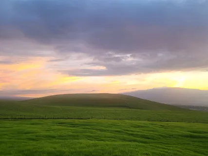 $799,000 | 67-1148 Wainoenoe Road, Kamuela, HI 96743