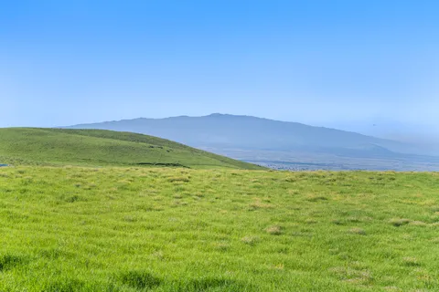 a view of an ocean from a yard