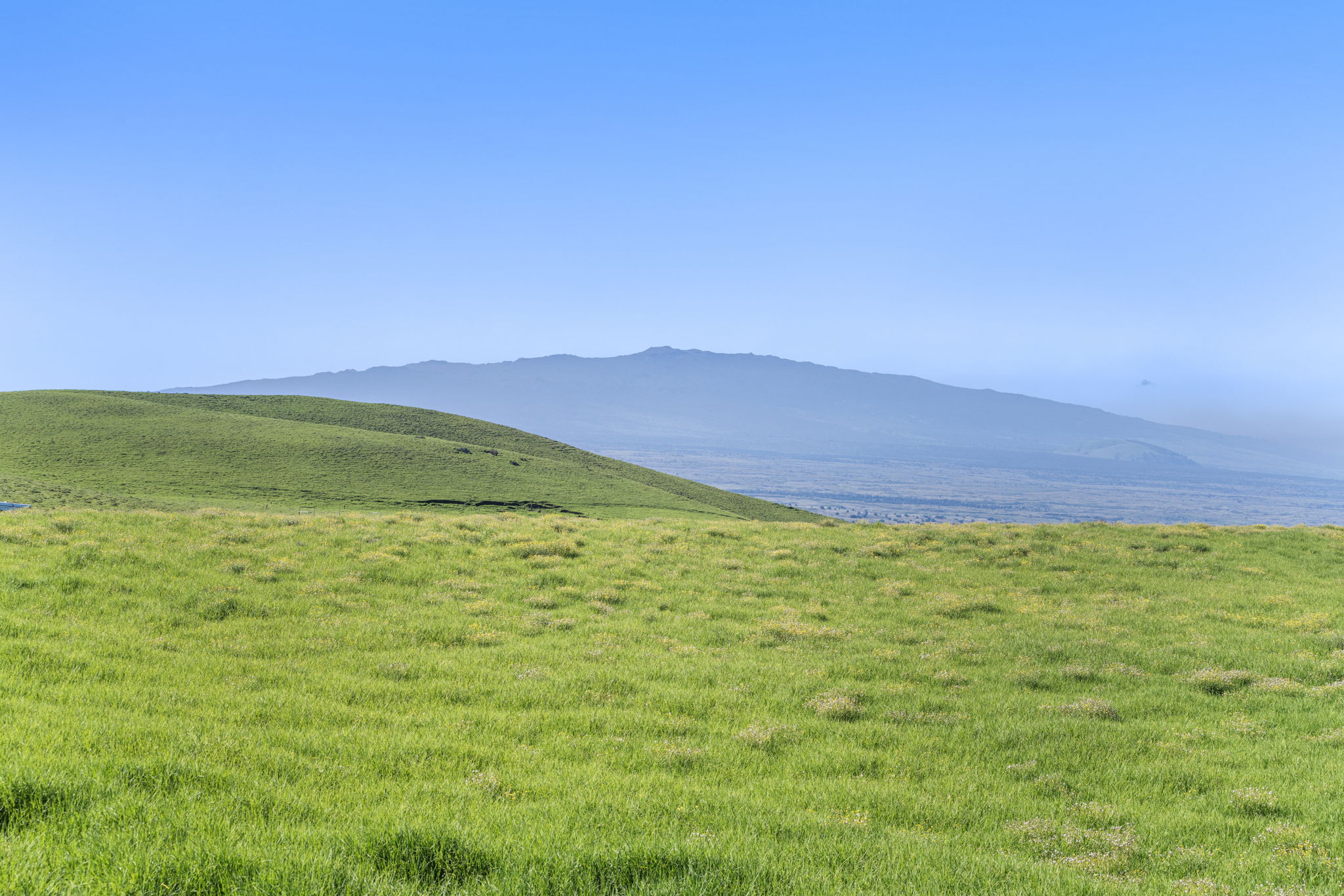 67-1148 Wainoenoe Road Kamuela, HI 96743 - Photo 8 of 28 a view of an ocean from a yard