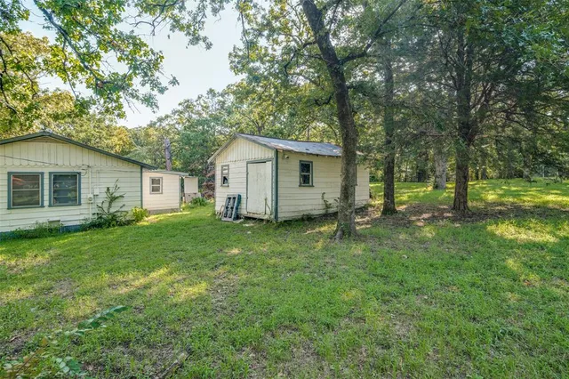 a view of a backyard with plants and large trees