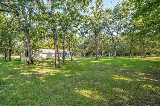 a view of a trees with a big yard