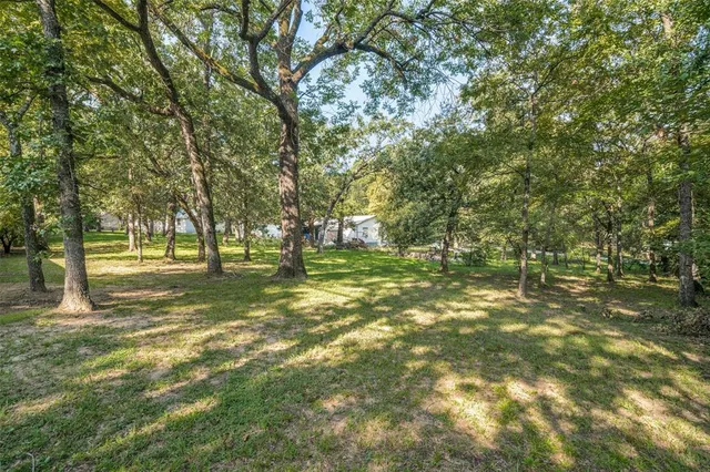 a view of outdoor space with trees all around