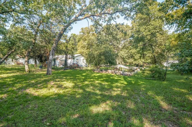 a view of a park that has large trees