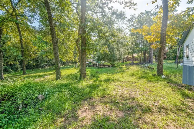 a view of a yard with a tree