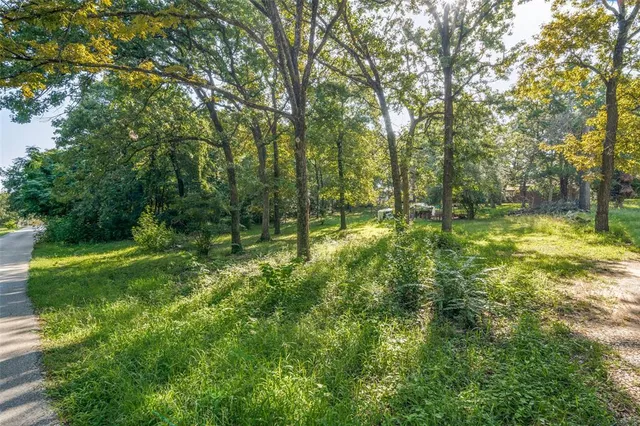 a big yard with lots of green space and trees