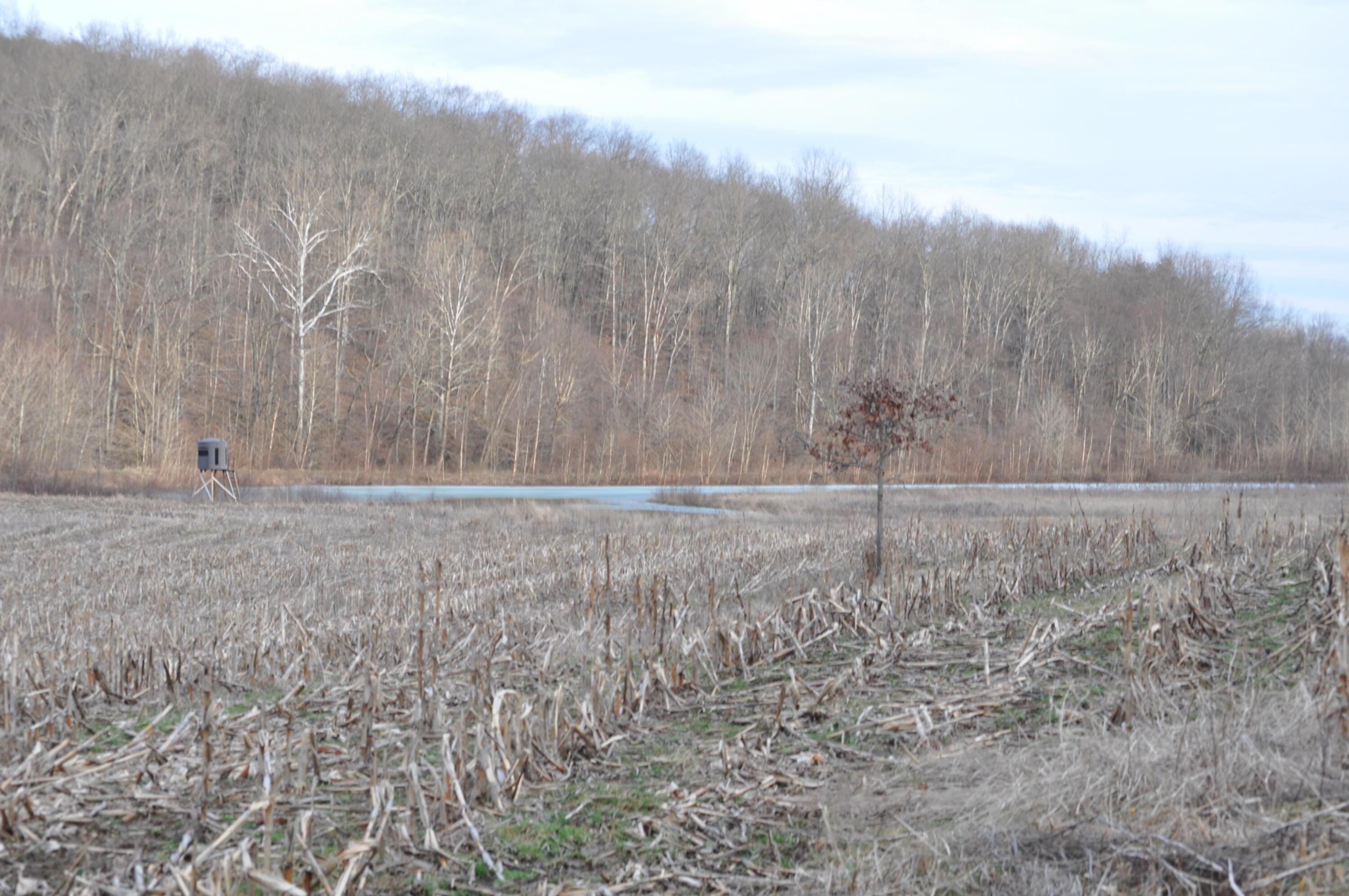 22808 Griffith Road Logan, OH 43138 - Photo 10 of 28 DSC_0263
