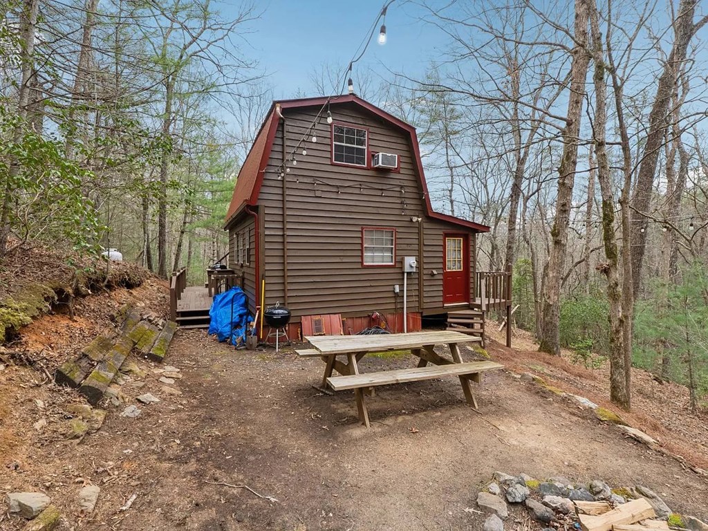 265 Wits End Way Cherry Log, GA 30522 - Photo 3 of 18