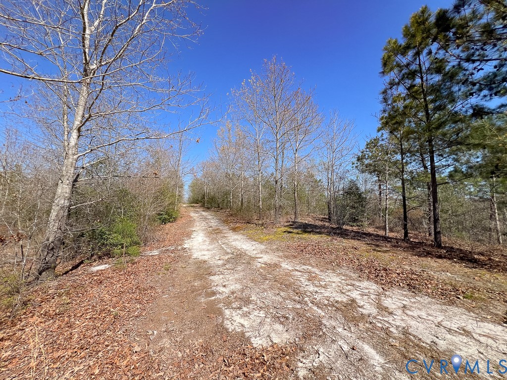 18262 Seals Road Bowling Green, VA 22427 - Photo 35 of 50 a view of a yard with trees