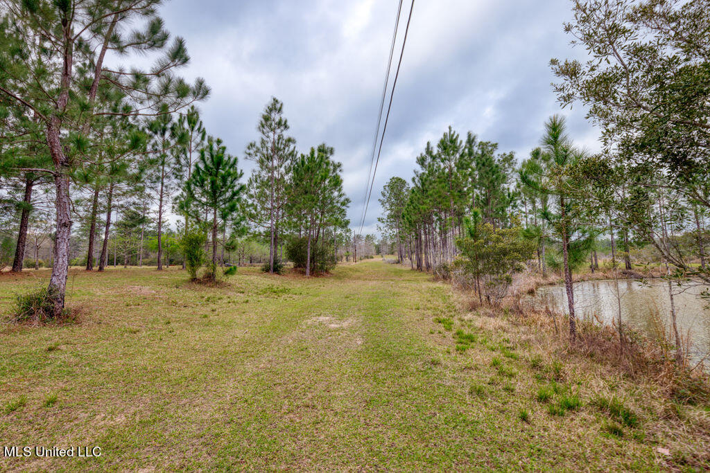 15429 Indian Fork Road Vancleave, MS 39565 - Photo 49 of 63 Pond Area