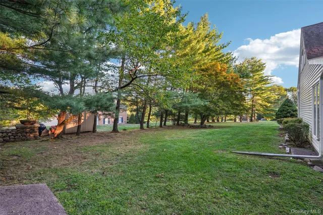 a view of a field with trees