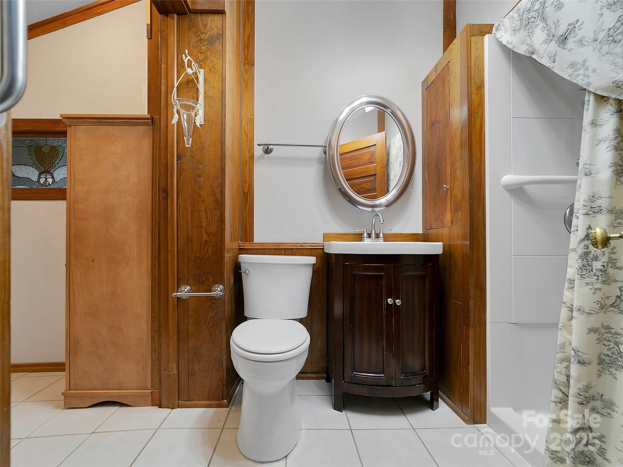 363 North Country Club Road Brevard, NC 28712 - Photo 27 of 42 a bathroom with a toilet a sink and a mirror