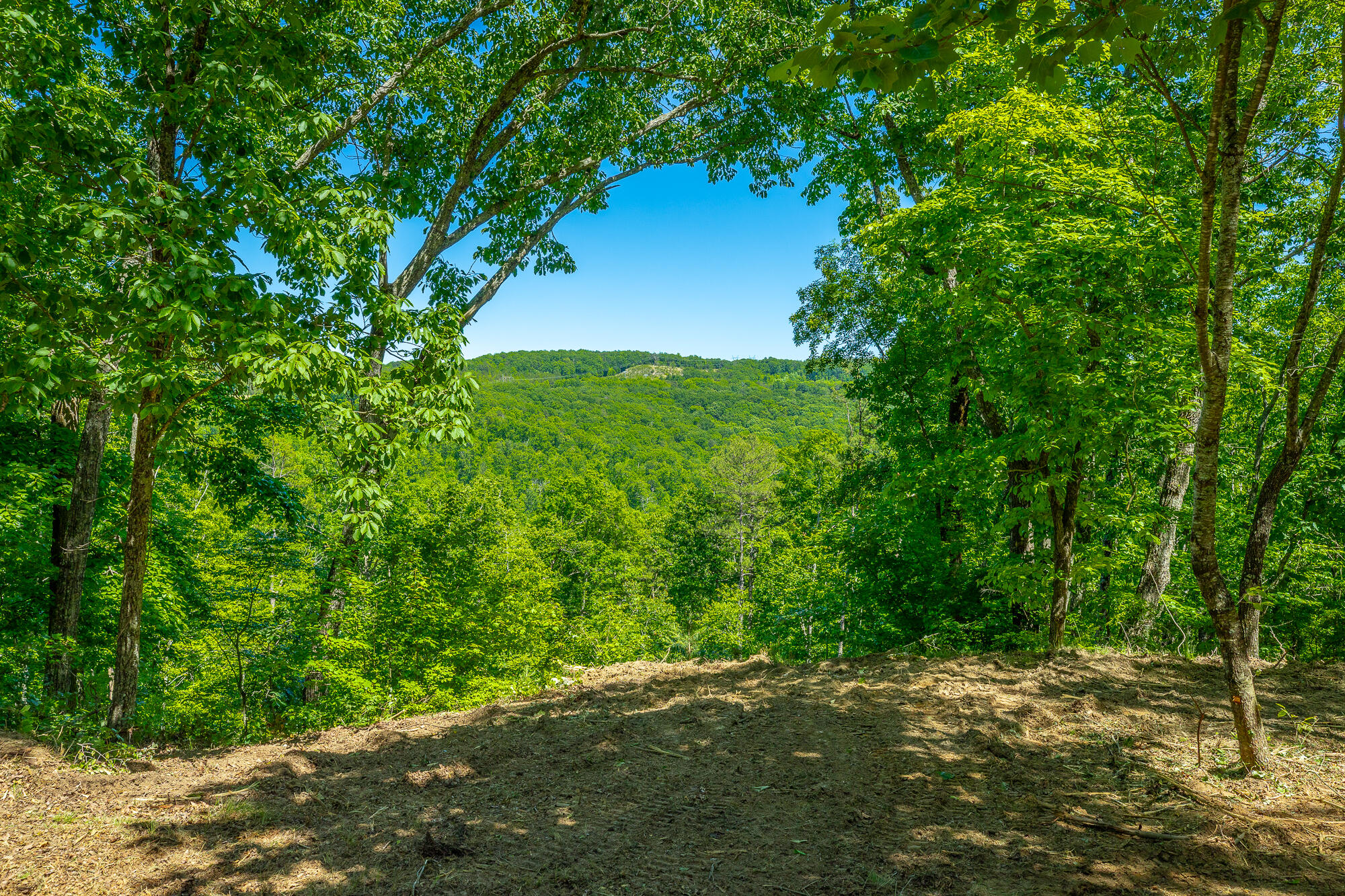0 Split Rail Way, Unit 1349 Guild, TN 37340 - Photo 4 of 108 0 Split Rail Way - Lot 1349 HD-64