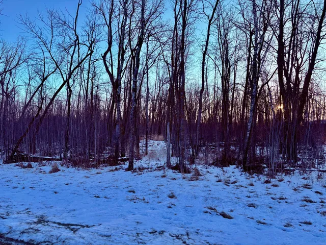 $148,000 | Lot 14 Hooper Creek Loop, Baudette, MN 56623