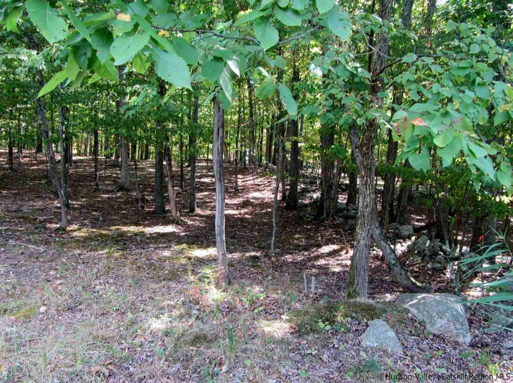 130 Climbing Ridge Road Gardiner, NY 12561 - Photo 2 of 7 Photo 2