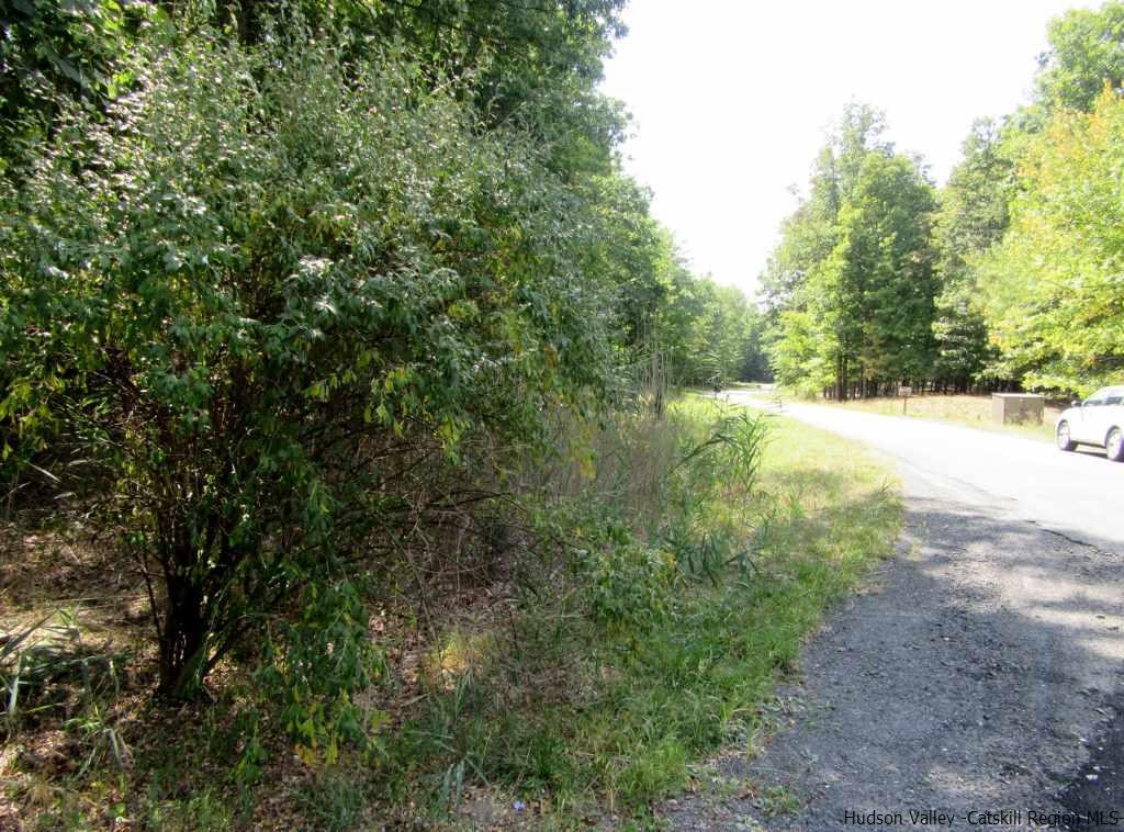 130 Climbing Ridge Road Gardiner, NY 12561 - Photo 3 of 7 Photo 3