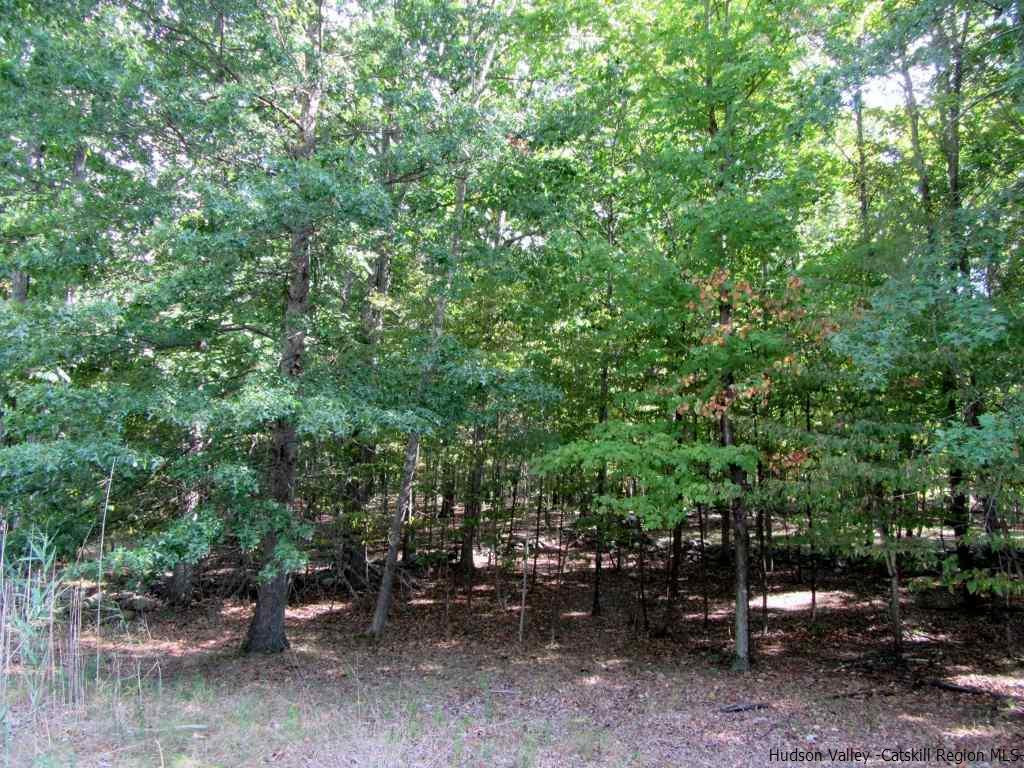 130 Climbing Ridge Road Gardiner, NY 12561 - Photo 4 of 7 Photo 4