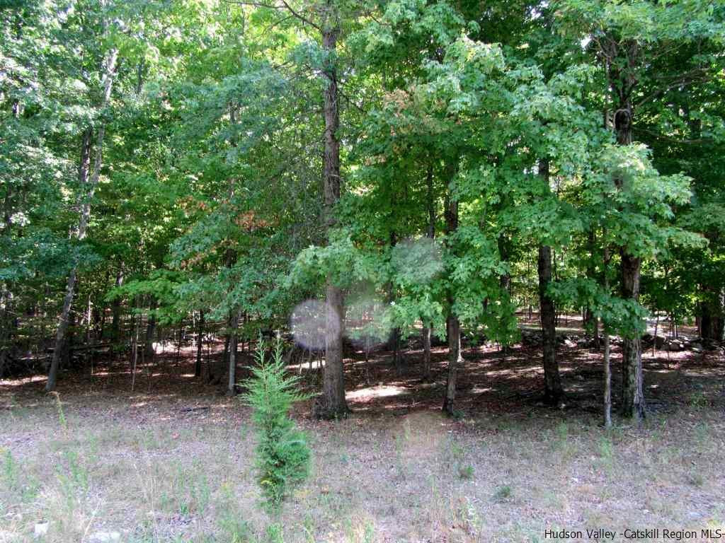 130 Climbing Ridge Road Gardiner, NY 12561 - Photo 6 of 7 Photo 6