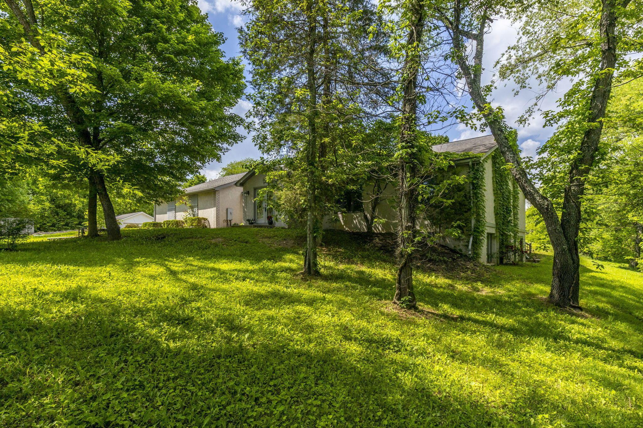 8945 Cheshire Road Sunbury, OH 43074 - Photo 11 of 56 Green all around