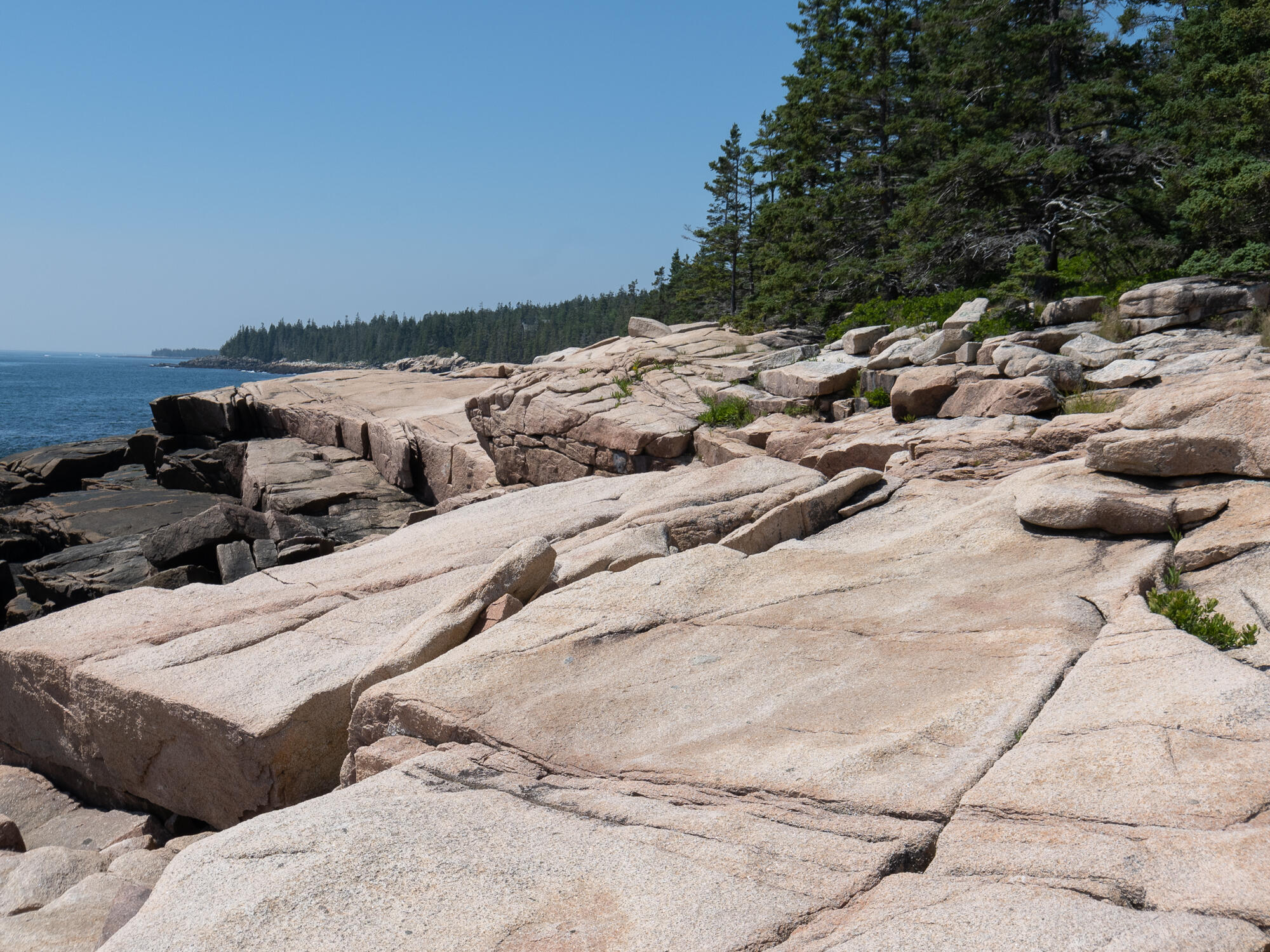 0 Red Point Road Swans Island, ME 04685 - Photo 21 of 23 Red Point