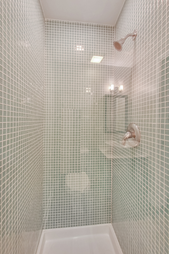 650 West Wayman Street, Unit 503C Chicago, IL 60661 - Photo 12 of 23 a bathroom with a shower